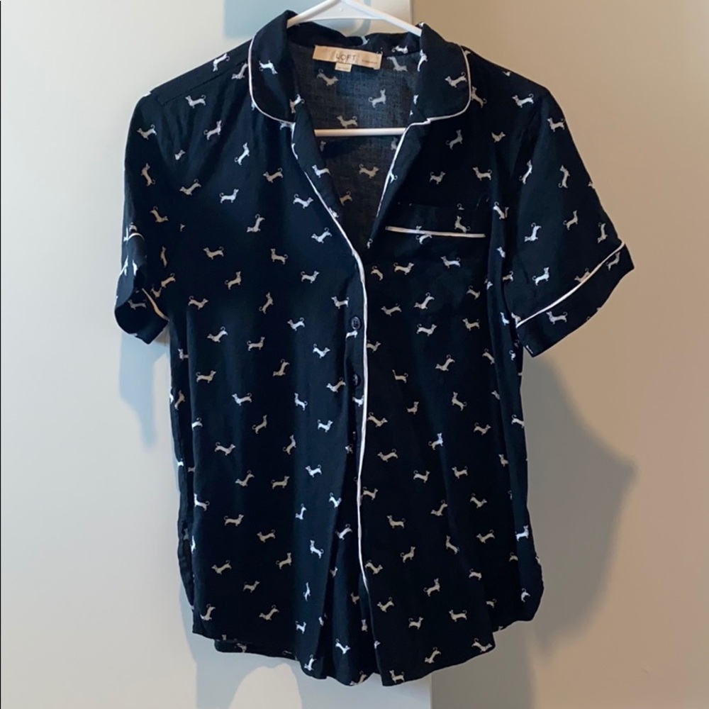 Dachshund sleeping top